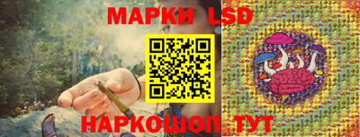 дмт Краснодар