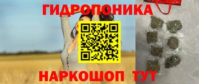 дмт Краснодар